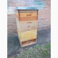 Продам улей под Рутовскую рамку