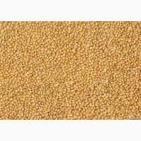 Куплю просо жовте та червоне