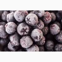 Принимаем заказы на замороженную бузину 205