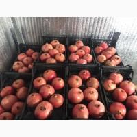 Продам гранат 9