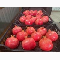 Продам гранат 9