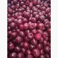 Продам заморожену вишню з кісткою та без, від 1 тони