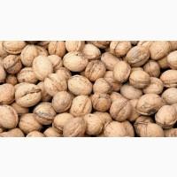 Продам грецкий орех кругляк