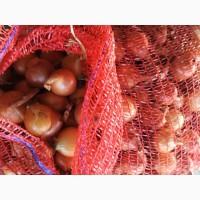Продам лук оптом второй сорт
