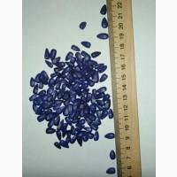 Соняшник ЕС Берекет, 110-112 днів, фр. Екстра