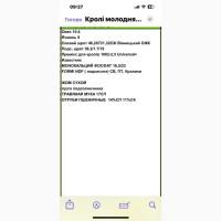 Комбікорм для кролів