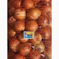 Продам цибулю лук репчатый опт