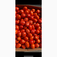 Продам помідор сливка 1 гатунок