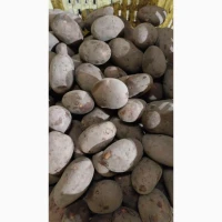 Продам їстівну картоплю