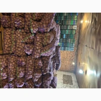 Продам товарну картоплю ( від населення)