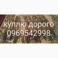Принімаю шкіри з куниці лиса