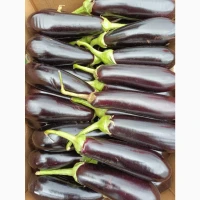 Продам перець кубовидний