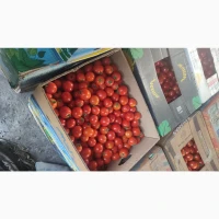 Продам перець кубовидний
