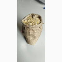 Кукурудза бита