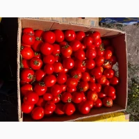 Продам помидоры Асвон и сливку