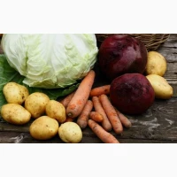 Куплю цибулю ріпчасту, овочі борщового набору (морква, буряк, капуста, цибуля)