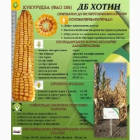 Насіння кукурудзи ДБ Хотин ФАО 280. ВІД ВИРОБНИКА. Дніпропетровська обл