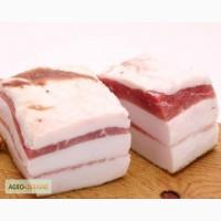 Куплю сало свинное домашнее