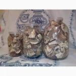 Гриби білі сушені – Карпати, відсортовані, перебрані. Доставка по Києву - безплатно