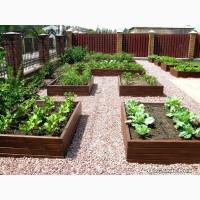 Декоративный огород, высокие грядки от производителя Organic Box купить Киев, Украина