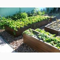 Декоративный огород, высокие грядки от производителя Organic Box купить Киев, Украина