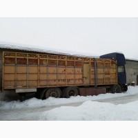 Продам Скотовоз MAN 24-372