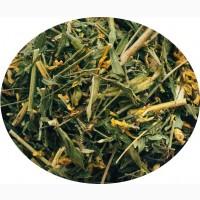 Дрок красильный (трава) 1кг