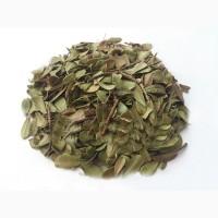 Толокнянка (лист) 1кг