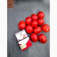 Продам помидор сливка 2 фуры