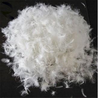 Закуповую качиний, гусячий пух і перо