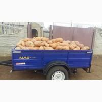 Продам товарный кабак
