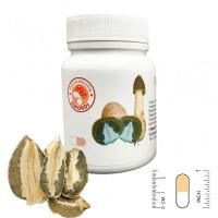 Гриб “Веселка” в капсулах