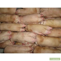 Ножки свинячі заморож