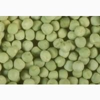Куплю горох зелений. Забираємо з місця