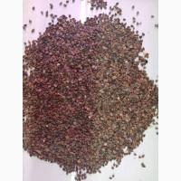 Гречка (гречиха)