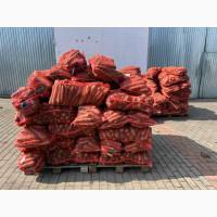 Продається морква