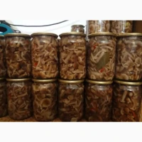 Продам мариновані гриби