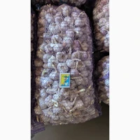 Продам озимий часник