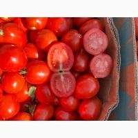 Продамо томат сливку різних видів