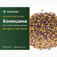 Пр0двм нвсіння к0нюшини - Акцент, Меліф0р, 8влерія