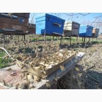 Белково - витаминная добавка для весенней подкормки пчел от производителя