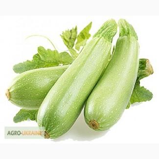 Продам семена кабачков, помидоров, Одесская область, Большой Дальник