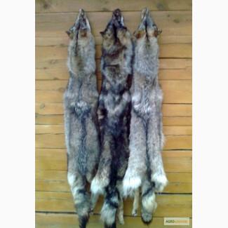 Мех волка, качественная выделка