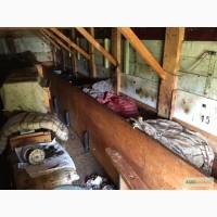 16 ульев в одном пчелопавильоне