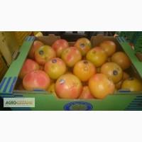 Продаем грейпфрут из Испании