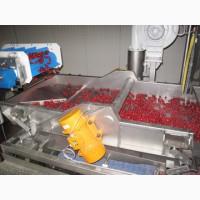 Шокова заморозка та зберігання