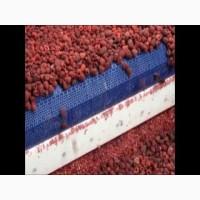 Шокова заморозка та зберігання