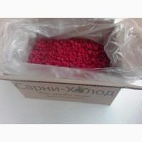 Шокова заморозка та зберігання