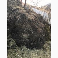 Продам навоз, сыпец, натуральное удобрение