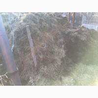 Продам навоз, сыпец, натуральное удобрение